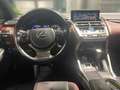 Lexus NX 300h 2.5 Hybrid Style Edition LED SHZ Weiß - thumbnail 11