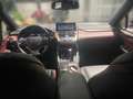 Lexus NX 300h 2.5 Hybrid Style Edition LED SHZ Weiß - thumbnail 14