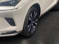 Lexus NX 300h 2.5 Hybrid Style Edition LED SHZ Weiß - thumbnail 8