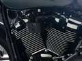 Harley-Davidson Lowrider S FXLRS SOFTAIL Schwarz - thumbnail 18