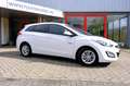 Hyundai i30 Wagon 1.6 GDi i-Motion Navi|Clima|LMV|Cam Bílá - thumbnail 4