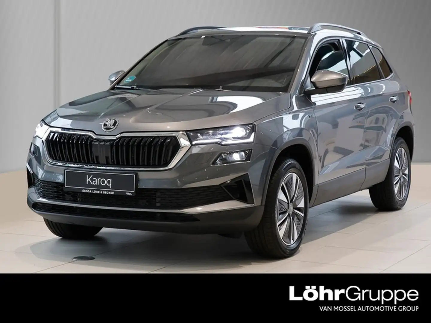 Skoda Karoq 2.0 TDI DSG Drive AHK/RFK/Navi Grau - 1