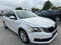 Skoda Octavia Weiß - thumbnail 2
