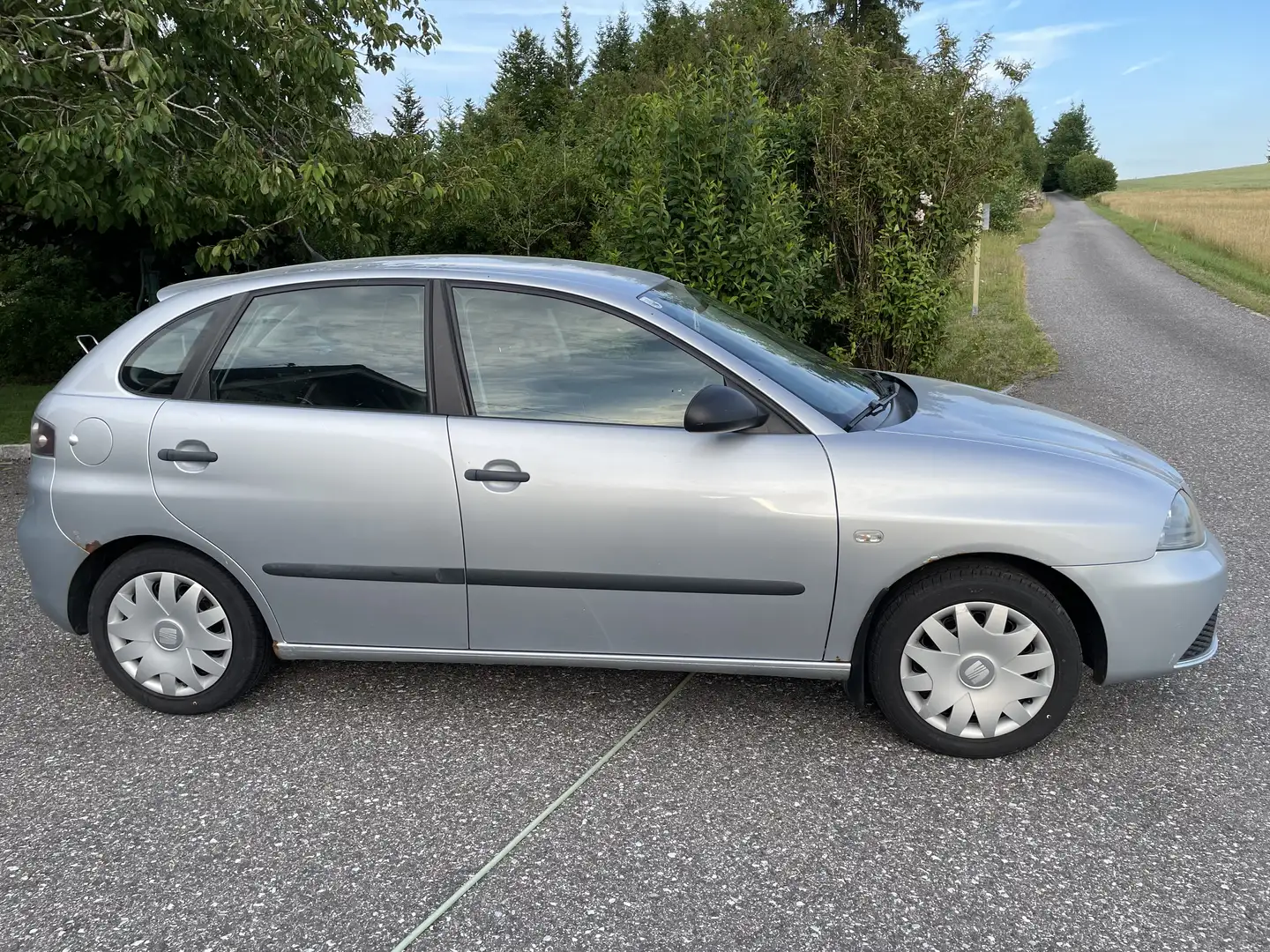 SEAT Ibiza 1,2 12V Grau - 2