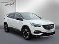 Opel Grandland X Grandland X 1.6 Autom Business INNOVATION,PANO,LED Weiß - thumbnail 3