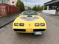 Pontiac Trans Am Trans Am 6.6 V8 Unica in italia Jaune - thumbnail 4