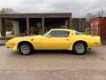 Pontiac Trans Am Trans Am 6.6 V8 Unica in italia Jaune - thumbnail 6