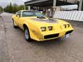 Pontiac Trans Am Trans Am 6.6 V8 Unica in italia Amarillo - thumbnail 5
