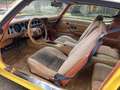 Pontiac Trans Am Trans Am 6.6 V8 Unica in italia Jaune - thumbnail 9