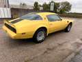 Pontiac Trans Am Trans Am 6.6 V8 Unica in italia Jaune - thumbnail 1