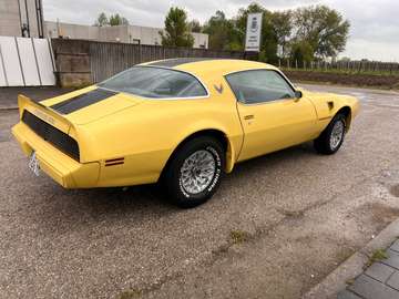 Trans Am 6.6 V8 Unica in italia