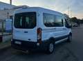 Ford Transit Bus Bianco - thumbnail 3