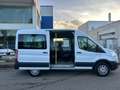 Ford Transit Bus Bianco - thumbnail 15