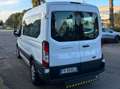 Ford Transit Bus Bianco - thumbnail 5