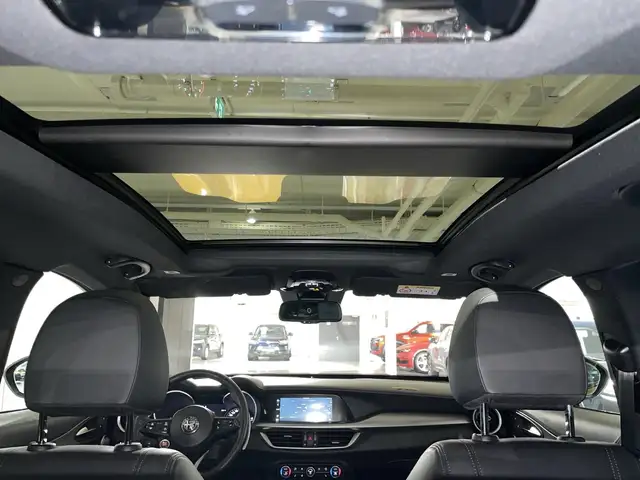 Alfa Romeo Stelvio view 14