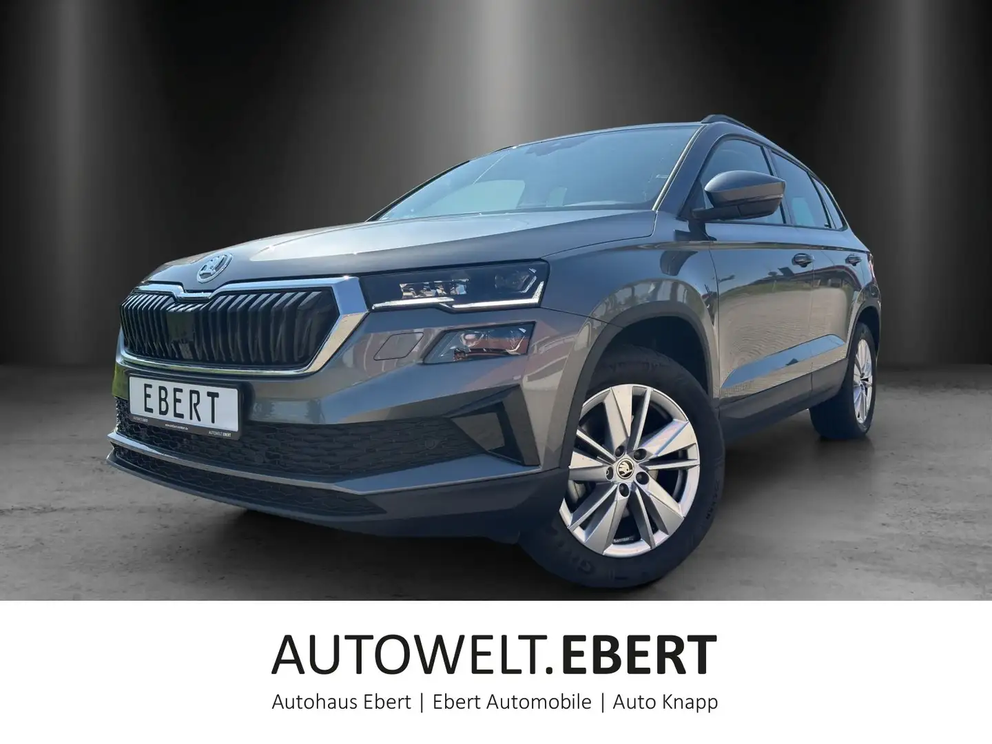 Skoda Karoq Selection 2,0 TDI 110 kW DSG 4x4 Gris - 1