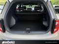 KGM Torres Torres 1.5 P 2WD Sondermodell NOMAD Navi Kamera Beige - thumbnail 13