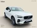 Volvo XC60 T8 AWD Twin Engine Inscription Weiß - thumbnail 3
