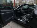 Porsche 911 Carrera Cabriolet*Approved* Schwarz - thumbnail 16