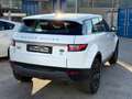 Land Rover Range Rover Evoque Range Rover Evoque 2.0 TD4 180 CV 5p. SE Bianco - thumbnail 2