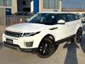 Land Rover Range Rover Evoque Range Rover Evoque 2.0 TD4 180 CV 5p. SE Bianco - thumbnail 3