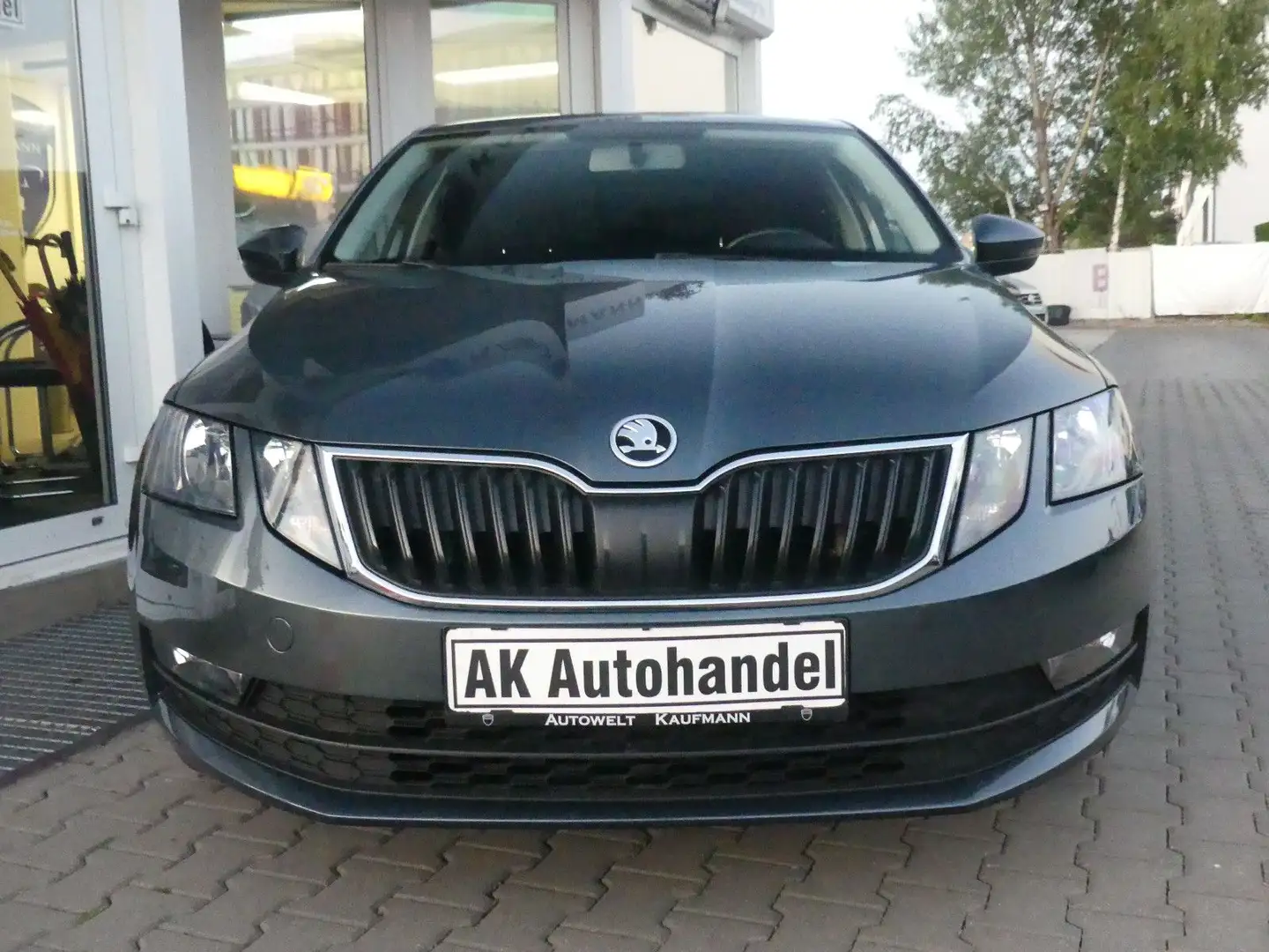 Skoda Octavia Lim. Ambition Gris - 2