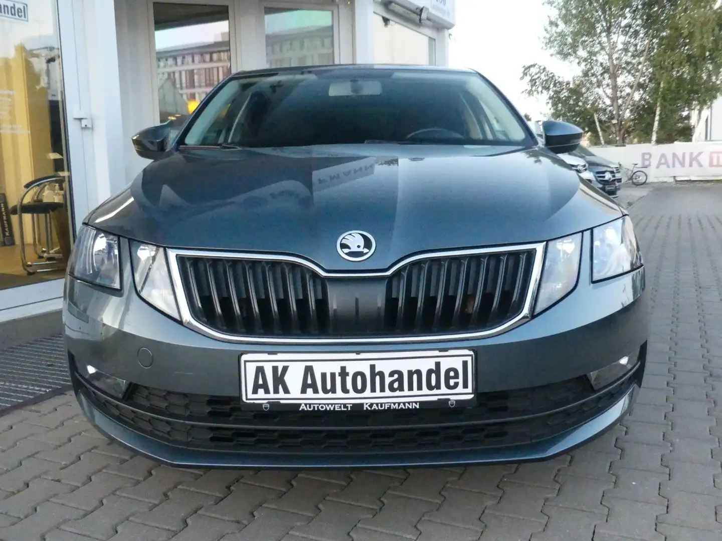Skoda Octavia Lim. Ambition Grau - 2