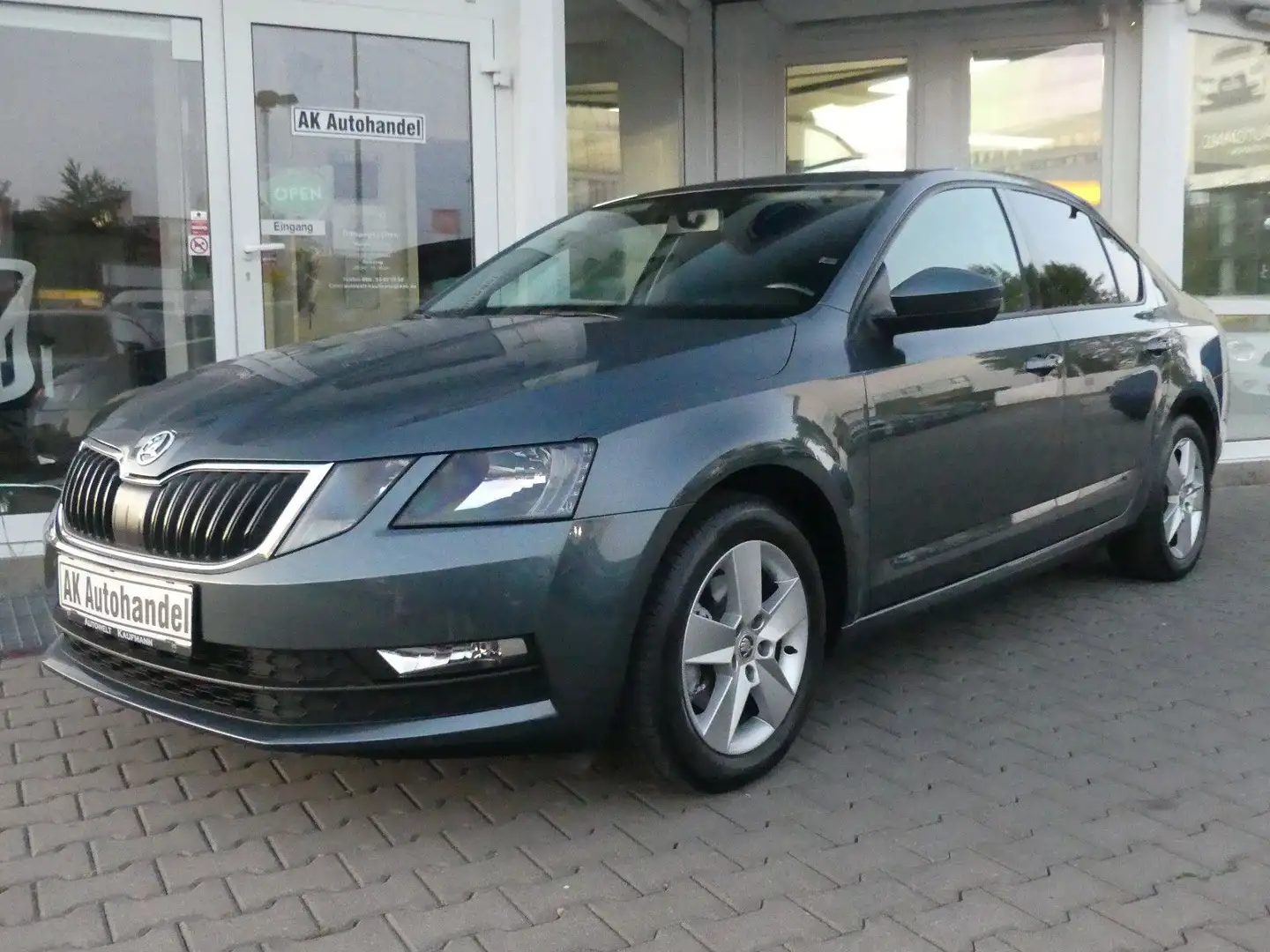 Skoda Octavia Lim. Ambition Gris - 1