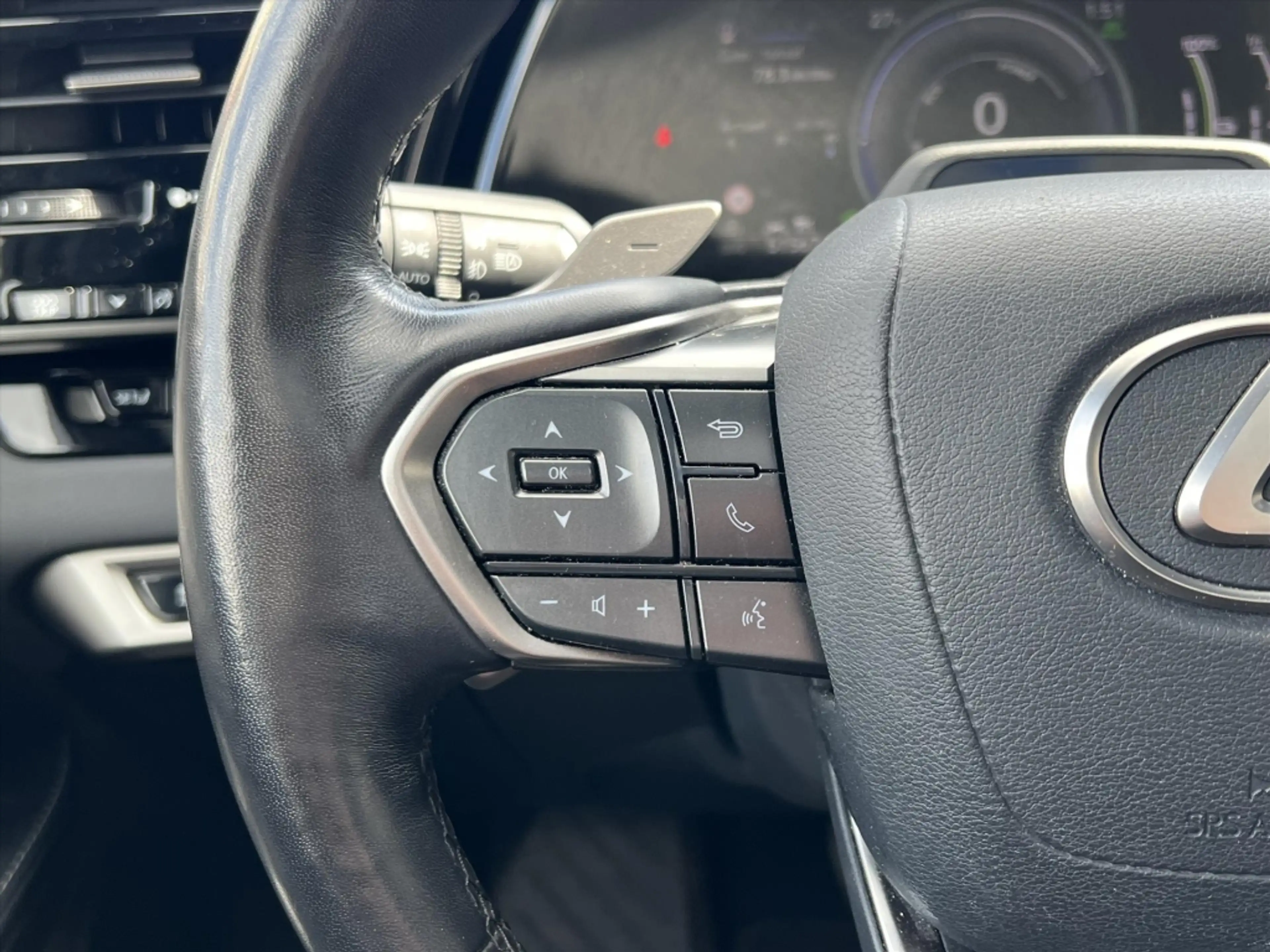 Lexus RX 450h 450h+ AWD Executive Line | Panoramadak, 21 inch, D — photo 20