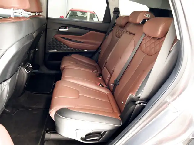 Hyundai Santa Fe view 15