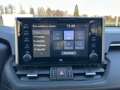 Toyota RAV 4 2.5 Hybrid 222pk AWD / 360 cam / Pano / JBL / Trek Vert - thumbnail 19