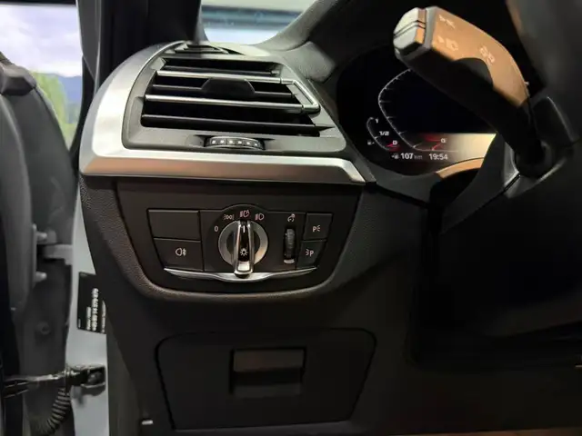 BMW X4 M Competition,HuD,Assistenten,Harman Kardon, Ansicht 33