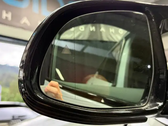 BMW X4 M Competition,HuD,Assistenten,Harman Kardon, Ansicht 32