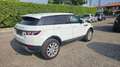 Land Rover Range Rover Evoque 2.2 TD4 5p. Prestige Bianco - thumbnail 6