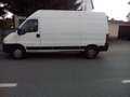 Fiat Ducato Ducato Maxi 232.678.0 M2B Blanc - thumbnail 1