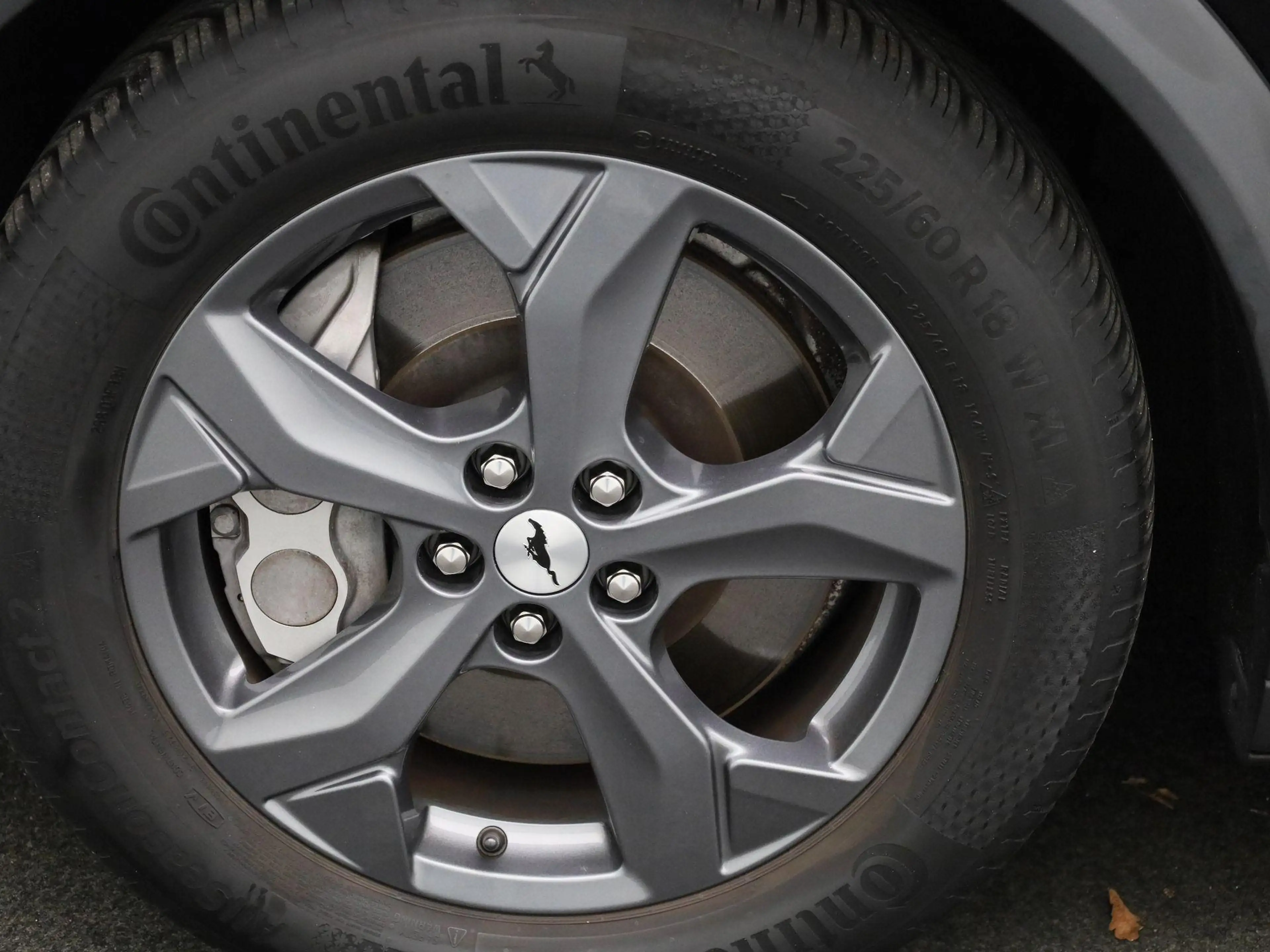 Ford Mustang Mach-E Extended RWD 98 kWh | Panoramadak | Adaptief Cruis — photo 14