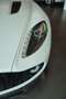 Aston Martin Vanquish Zagato Volante S 6.0 V12 One of 99 Bianco - thumbnail 9