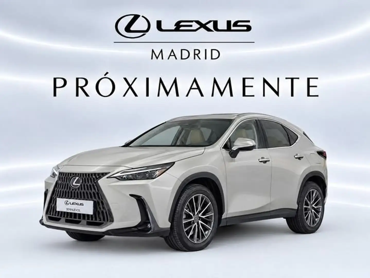 Lexus NX 350h Business 2WD Gris - 1