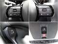 Honda ZR-V Sport / Navi / ACC Blu/Azzurro - thumbnail 21