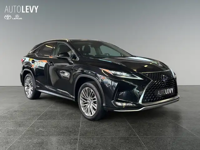 Lexus RX view 8