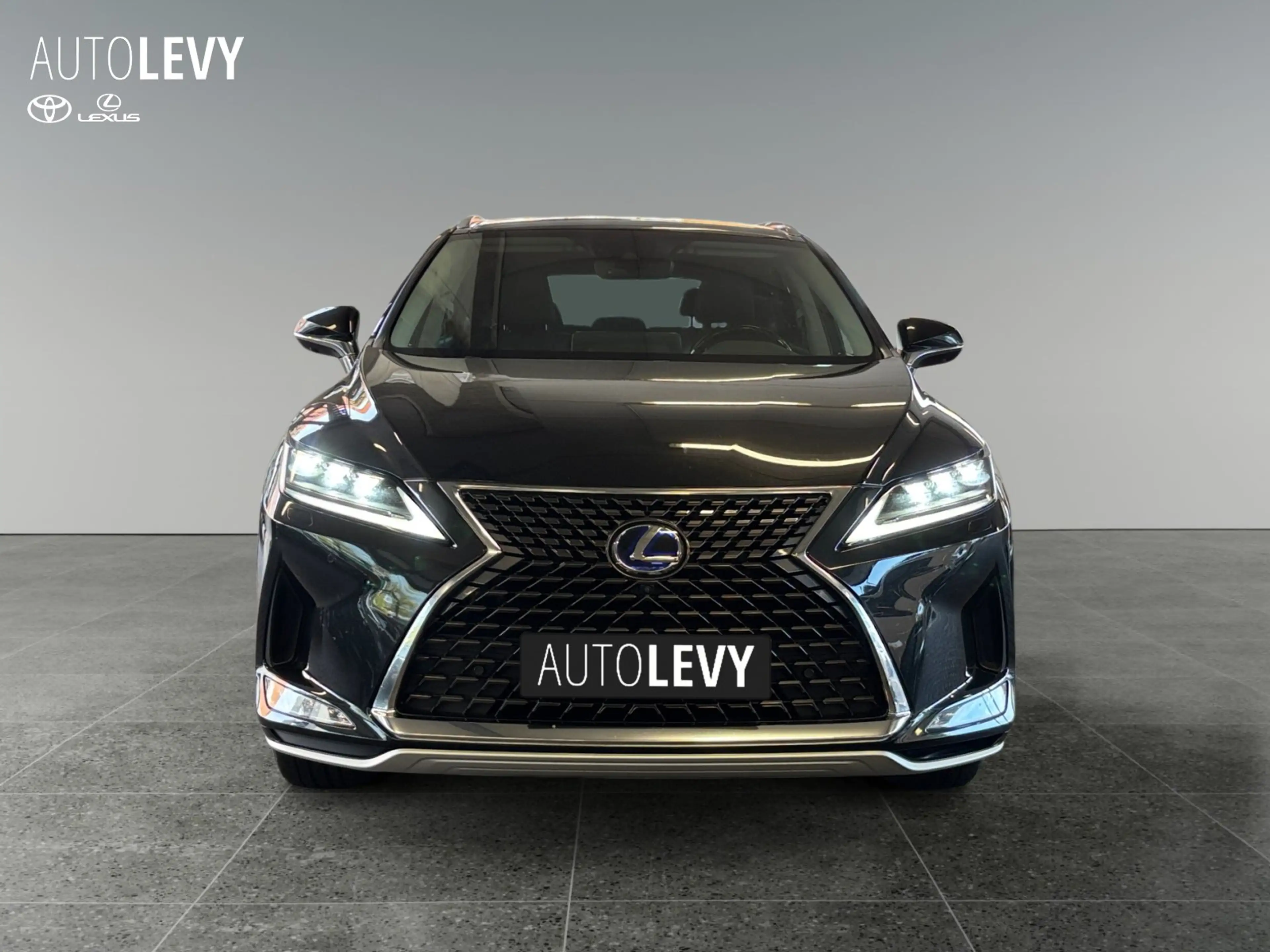 Lexus RX 450h E-Four Luxury Line AHK/M&L/PANO — photo 9