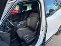 Renault Scenic Energy dCi 110 Bose Weiß - thumbnail 13
