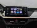 Skoda Kamiq 1.0 tsi Ambition 95cv Blu/Azzurro - thumbnail 12