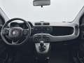 Fiat Panda 1.2 Lounge Gris - thumbnail 12