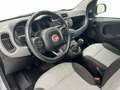 Fiat Panda 1.2 Lounge Gris - thumbnail 21
