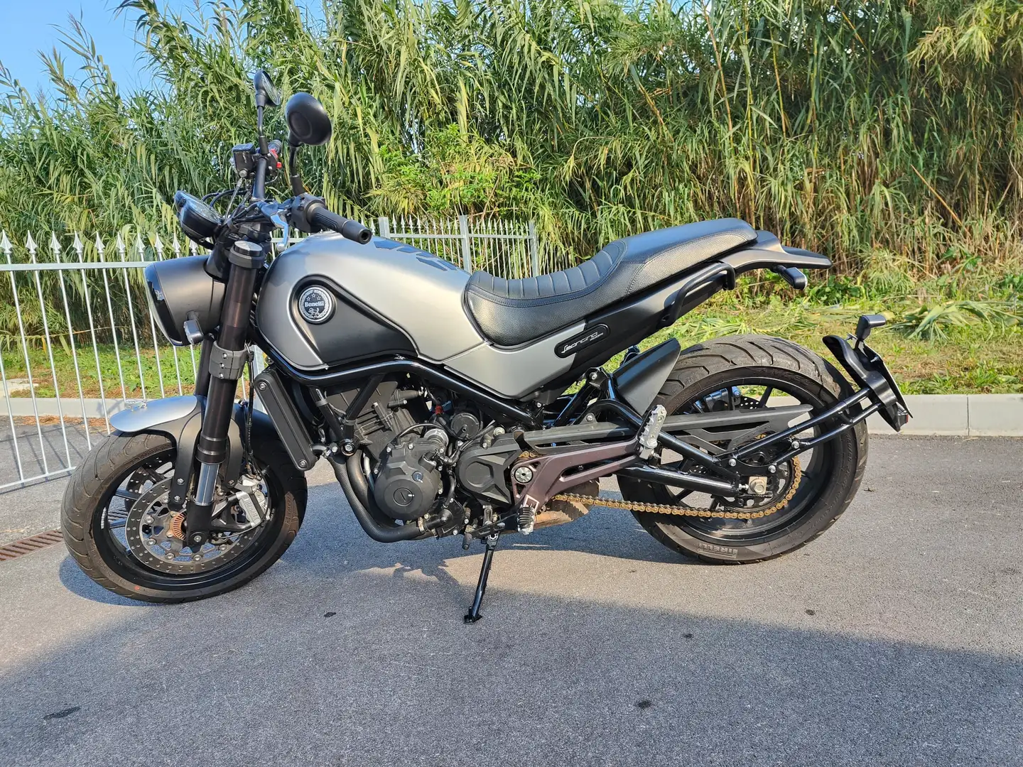 Benelli Leoncino Argintiu - 2