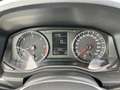 Volkswagen Amarok  4Motion 3.0 TDI Trendline Weiß - thumbnail 18