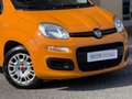 Fiat Panda Panda III 2021 1.0 firefly hybrid City Life s Oranje - thumbnail 13