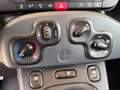 Fiat Panda Panda III 2021 1.0 firefly hybrid City Life s Oranje - thumbnail 10