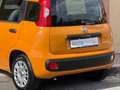 Fiat Panda Panda III 2021 1.0 firefly hybrid City Life s Oranje - thumbnail 14